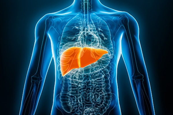 What Is a FibroScan and Who Should Get One?